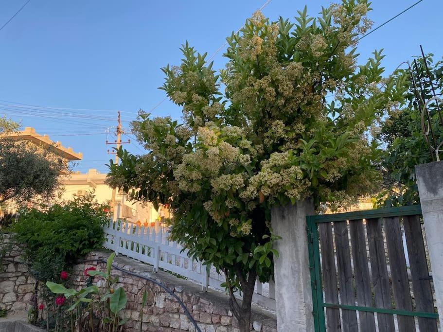 Guesthouse Xhimi Ksamil Ngoại thất bức ảnh