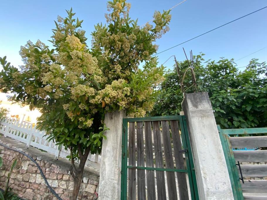 Guesthouse Xhimi Ksamil Ngoại thất bức ảnh