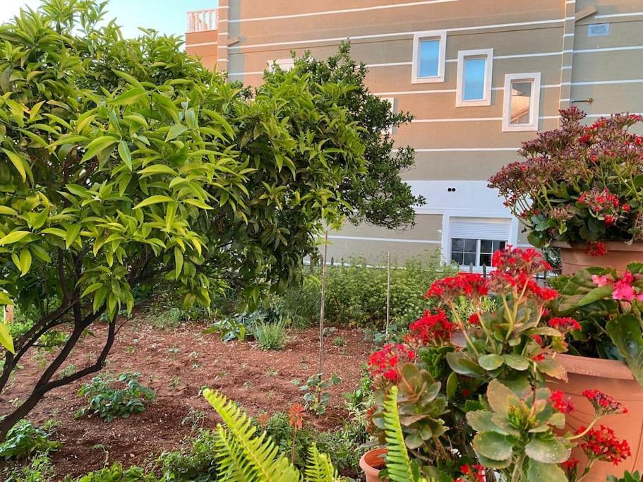 Guesthouse Xhimi Ksamil Ngoại thất bức ảnh